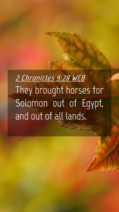 Picture 04 - 2 Chronicles 9:28 WEB Mobile Phone Wallpaper - They brought horses for Solomon out of Egypt, and - Mobile Bible Verse Wallpaper
