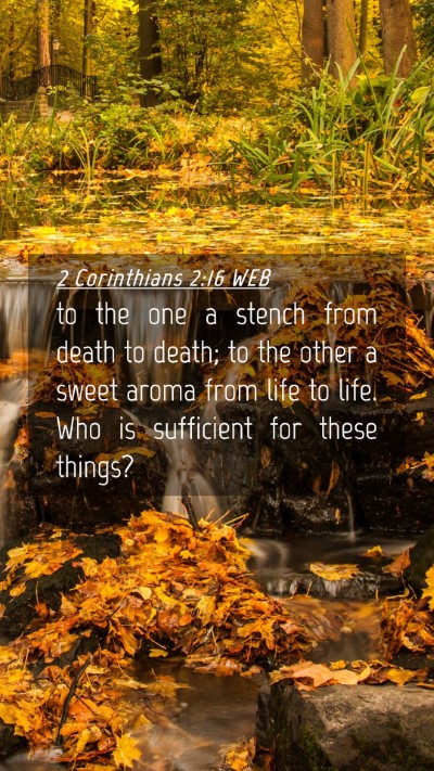 Picture 04 - 2 Corinthians 2:16 WEB Mobile Phone Wallpaper - to the one a stench from death to death; to the - Mobile Bible Verse Wallpaper