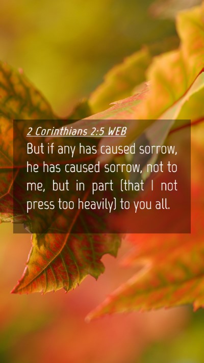 Picture 04 - 2 Corinthians 2:5 WEB Mobile Phone Wallpaper - But if any has caused sorrow, he has caused - Mobile Bible Verse Wallpaper