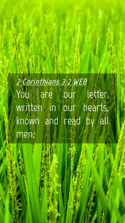 Picture 04 - 2 Corinthians 3:2 WEB Mobile Phone Wallpaper - You are our letter, written in our hearts, known - Mobile Bible Verse Wallpaper