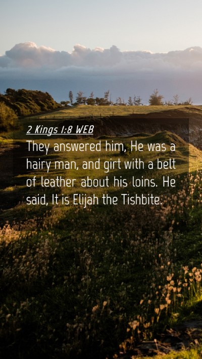 Picture 04 - 2 Kings 1:8 WEB Mobile Phone Wallpaper - They answered him, He was a hairy man, and girt - Mobile Bible Verse Wallpaper