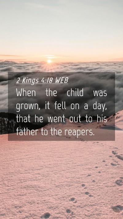Picture 04 - 2 Kings 4:18 WEB Mobile Phone Wallpaper - When the child was grown, it fell on a day, that - Mobile Bible Verse Wallpaper
