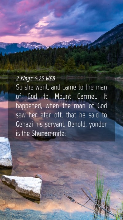 Picture 04 - 2 Kings 4:25 WEB Mobile Phone Wallpaper - So she went, and came to the man of God to Mount - Mobile Bible Verse Wallpaper