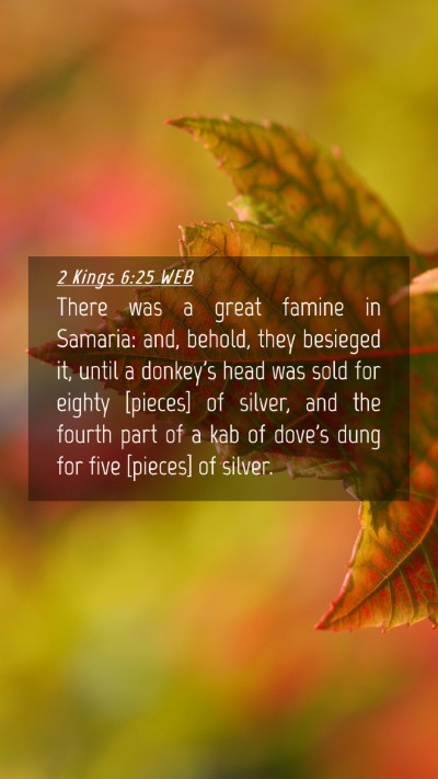 Picture 04 - 2 Kings 6:25 WEB Mobile Phone Wallpaper - There was a great famine in Samaria: and, behold, - Mobile Bible Verse Wallpaper