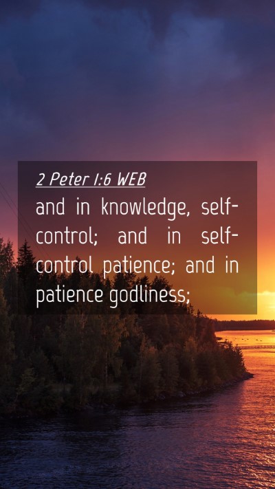 Picture 04 - 2 Peter 1:6 WEB Mobile Phone Wallpaper - and in knowledge, self-control; and in - Mobile Bible Verse Wallpaper