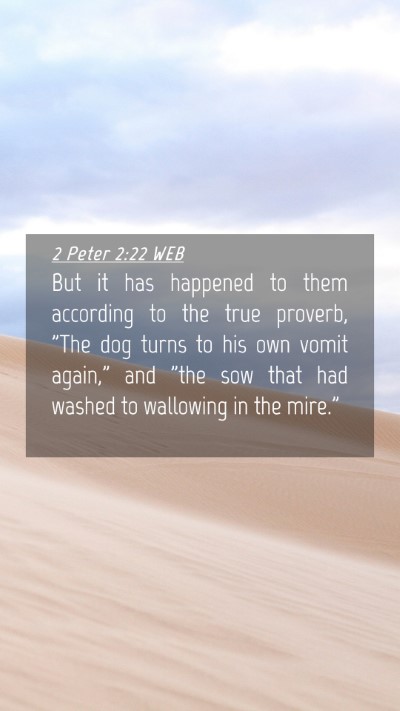 Picture 04 - 2 Peter 2:22 WEB Mobile Phone Wallpaper - But it has happened to them according to the true - Mobile Bible Verse Wallpaper