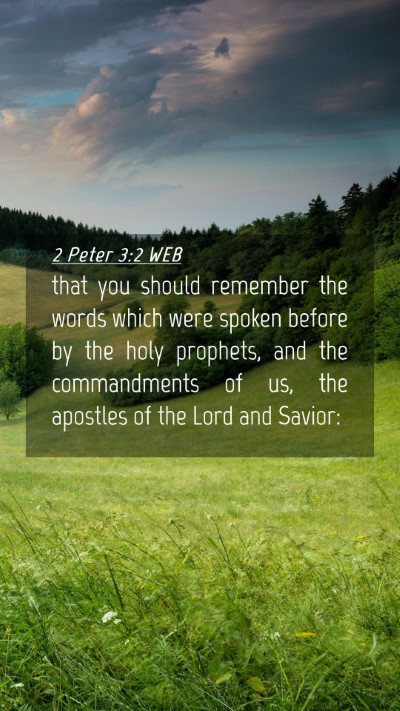 Picture 04 - 2 Peter 3:2 WEB Mobile Phone Wallpaper - that you should remember the words which were - Mobile Bible Verse Wallpaper