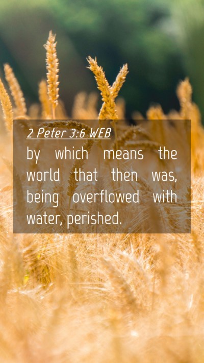Picture 04 - 2 Peter 3:6 WEB Mobile Phone Wallpaper - by which means the world that then was, being - Mobile Bible Verse Wallpaper