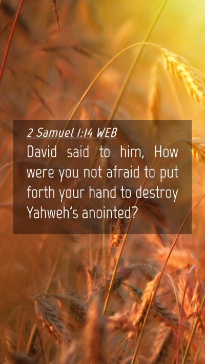 Picture 04 - 2 Samuel 1:14 WEB Mobile Phone Wallpaper - David said to him, How were you not afraid to put - Mobile Bible Verse Wallpaper