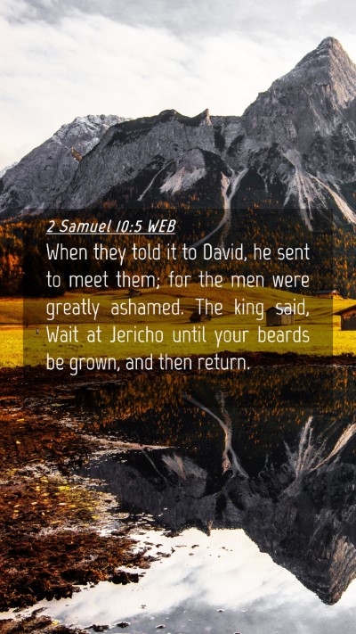 Picture 04 - 2 Samuel 10:5 WEB Mobile Phone Wallpaper - When they told it to David, he sent to meet them; - Mobile Bible Verse Wallpaper