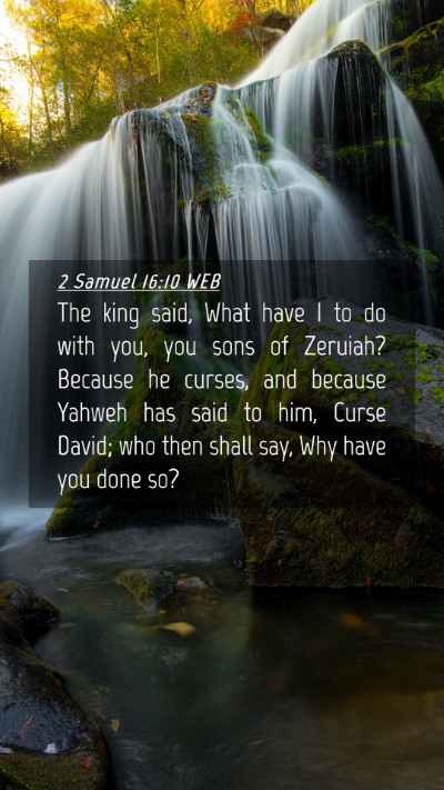 Picture 04 - 2 Samuel 16:10 WEB Mobile Phone Wallpaper - The king said, What have I to do with you, you - Mobile Bible Verse Wallpaper