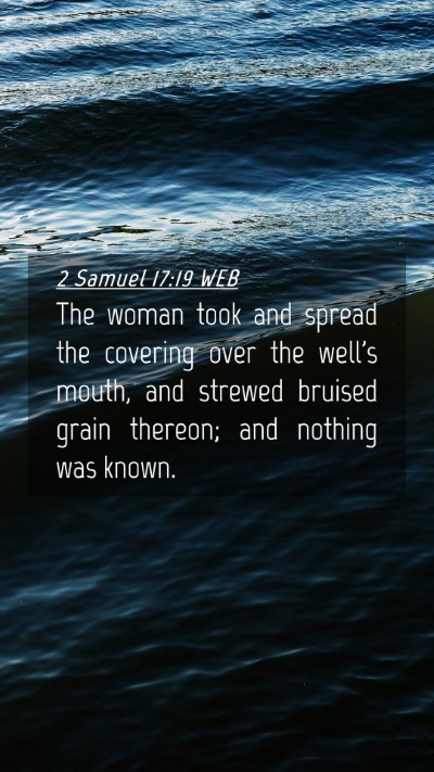 Picture 04 - 2 Samuel 17:19 WEB Mobile Phone Wallpaper - The woman took and spread the covering over the - Mobile Bible Verse Wallpaper