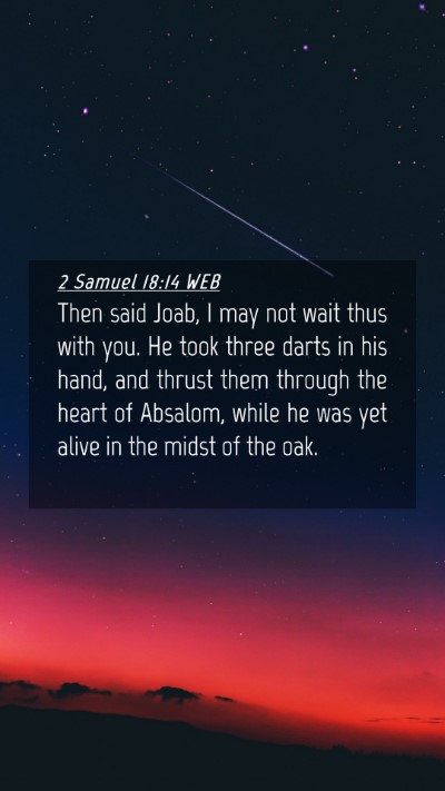 Picture 04 - 2 Samuel 18:14 WEB Mobile Phone Wallpaper - Then said Joab, I may not wait thus with you. He - Mobile Bible Verse Wallpaper
