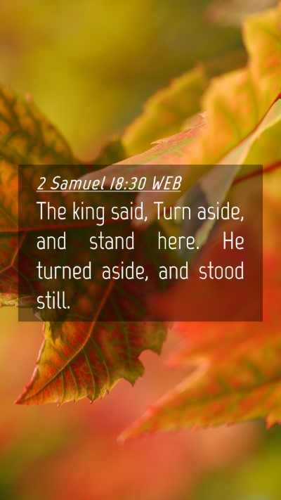 Picture 04 - 2 Samuel 18:30 WEB Mobile Phone Wallpaper - The king said, Turn aside, and stand here. He - Mobile Bible Verse Wallpaper