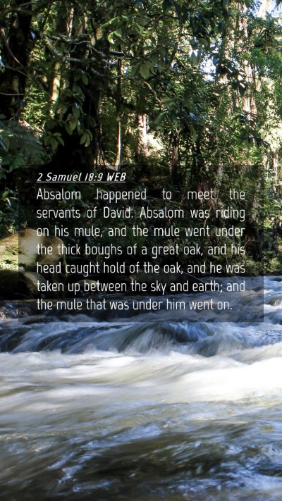 Picture 04 - 2 Samuel 18:9 WEB Mobile Phone Wallpaper - Absalom happened to meet the servants of David. - Mobile Bible Verse Wallpaper