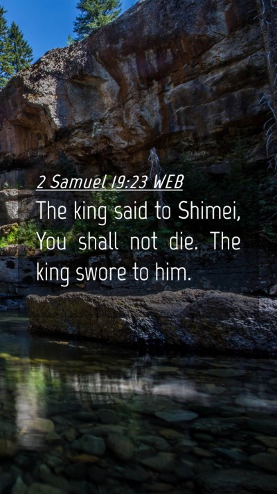 Picture 04 - 2 Samuel 19:23 WEB Mobile Phone Wallpaper - The king said to Shimei, You shall not die. The - Mobile Bible Verse Wallpaper