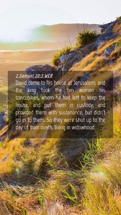 Picture 04 - 2 Samuel 20:3 WEB Mobile Phone Wallpaper - David came to his house at Jerusalem; and the - Mobile Bible Verse Wallpaper
