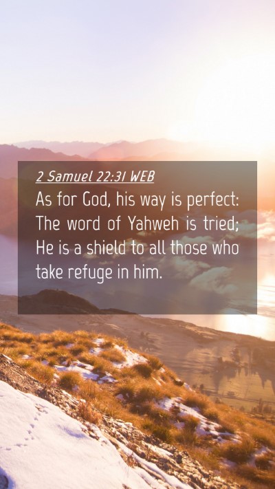 Picture 04 - 2 Samuel 22:31 WEB Mobile Phone Wallpaper - As for God, his way is perfect: The word of - Mobile Bible Verse Wallpaper