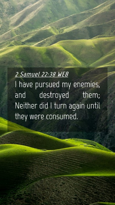 Picture 04 - 2 Samuel 22:38 WEB Mobile Phone Wallpaper - I have pursued my enemies, and destroyed them; - Mobile Bible Verse Wallpaper