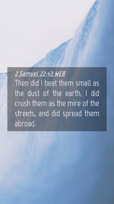 Picture 04 - 2 Samuel 22:43 WEB Mobile Phone Wallpaper - Then did I beat them small as the dust of the - Mobile Bible Verse Wallpaper