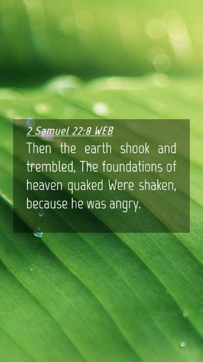 Picture 04 - 2 Samuel 22:8 WEB Mobile Phone Wallpaper - Then the earth shook and trembled, The - Mobile Bible Verse Wallpaper