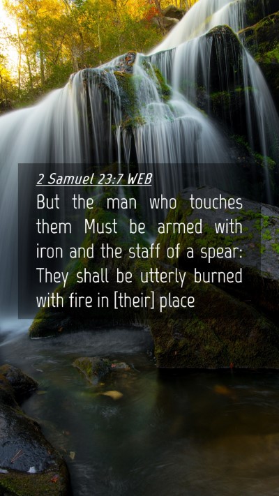 Picture 04 - 2 Samuel 23:7 WEB Mobile Phone Wallpaper - But the man who touches them Must be armed with - Mobile Bible Verse Wallpaper
