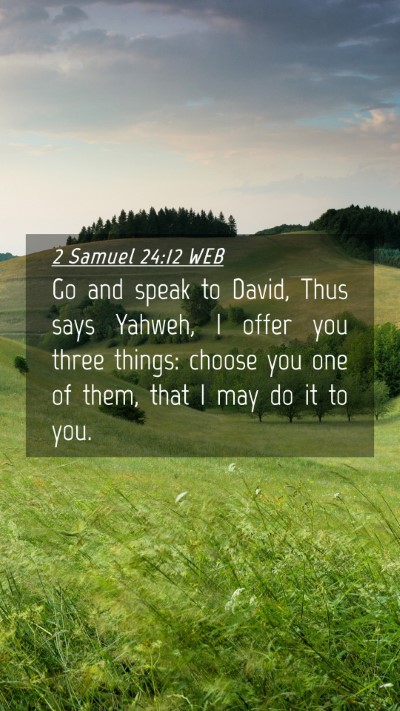 Picture 04 - 2 Samuel 24:12 WEB Mobile Phone Wallpaper - Go and speak to David, Thus says Yahweh, I offer - Mobile Bible Verse Wallpaper