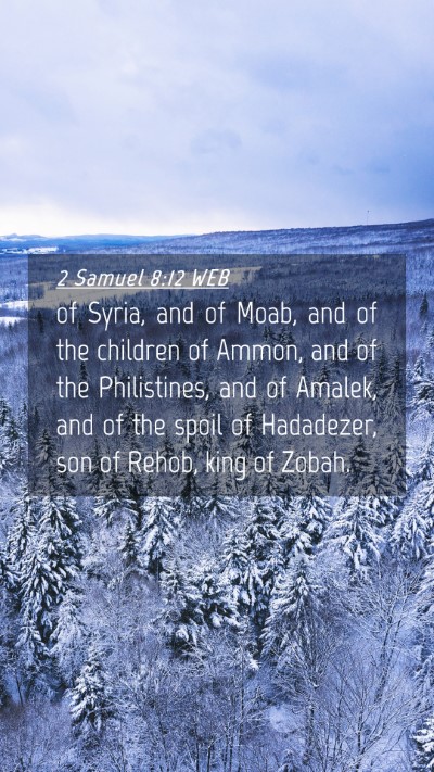Picture 04 - 2 Samuel 8:12 WEB Mobile Phone Wallpaper - of Syria, and of Moab, and of the children of - Mobile Bible Verse Wallpaper