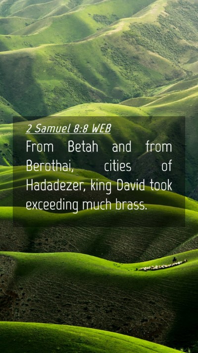 Picture 04 - 2 Samuel 8:8 WEB Mobile Phone Wallpaper - From Betah and from Berothai, cities of - Mobile Bible Verse Wallpaper