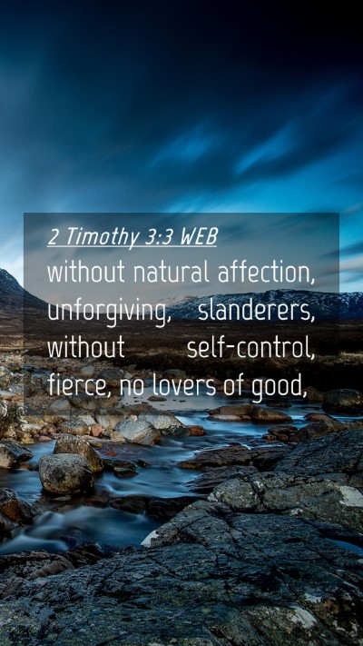 Picture 04 - 2 Timothy 3:3 WEB Mobile Phone Wallpaper - without natural affection, unforgiving, - Mobile Bible Verse Wallpaper