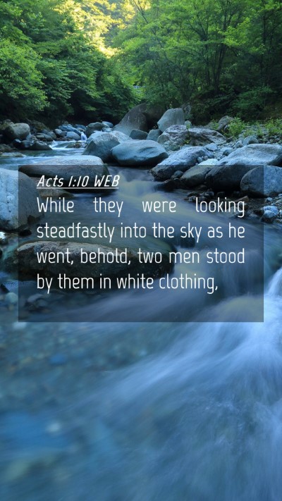 Picture 04 - Acts 1:10 WEB Mobile Phone Wallpaper - While they were looking steadfastly into the sky - Mobile Bible Verse Wallpaper