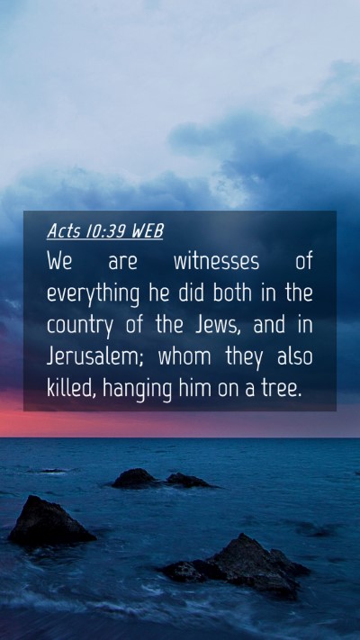 Picture 04 - Acts 10:39 WEB Mobile Phone Wallpaper - We are witnesses of everything he did both in the - Mobile Bible Verse Wallpaper