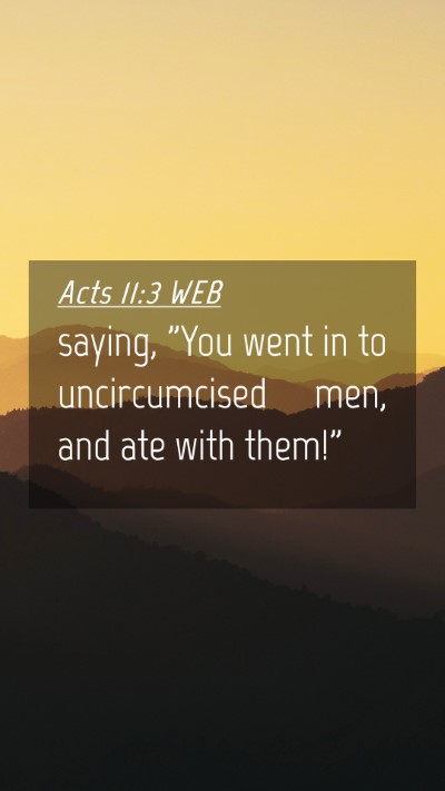Picture 04 - Acts 11:3 WEB Mobile Phone Wallpaper - saying, 