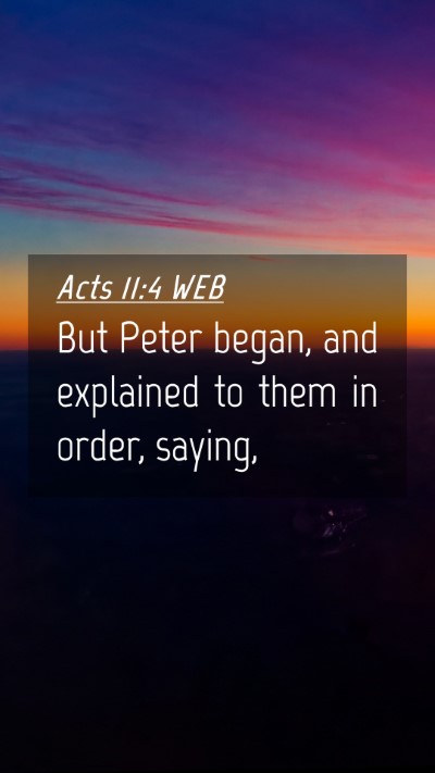 Picture 04 - Acts 11:4 WEB Mobile Phone Wallpaper - But Peter began, and explained to them in order, - Mobile Bible Verse Wallpaper