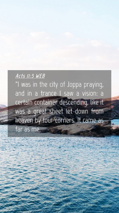 Picture 04 - Acts 11:5 WEB Mobile Phone Wallpaper - 