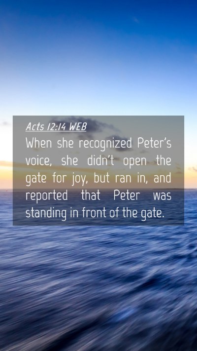 Picture 04 - Acts 12:14 WEB Mobile Phone Wallpaper - When she recognized Peter's voice, she didn't - Mobile Bible Verse Wallpaper