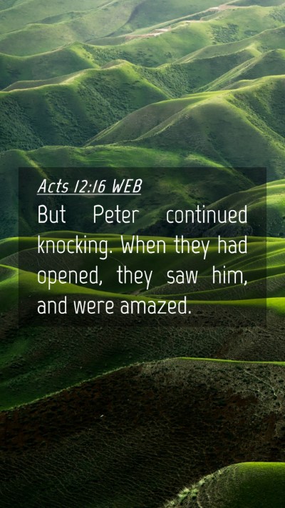 Picture 04 - Acts 12:16 WEB Mobile Phone Wallpaper - But Peter continued knocking. When they had - Mobile Bible Verse Wallpaper