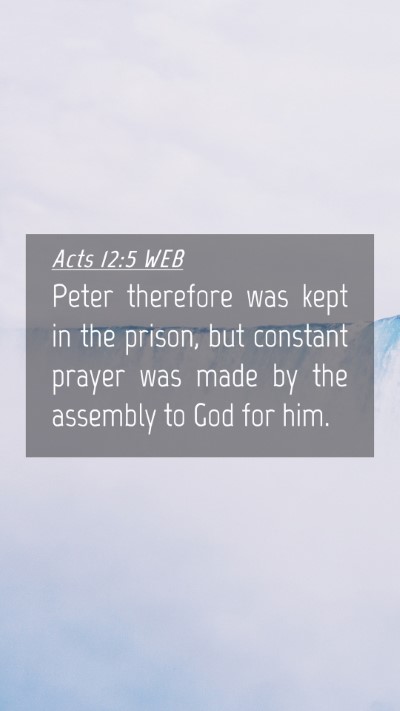 Picture 04 - Acts 12:5 WEB Mobile Phone Wallpaper - Peter therefore was kept in the prison, but - Mobile Bible Verse Wallpaper