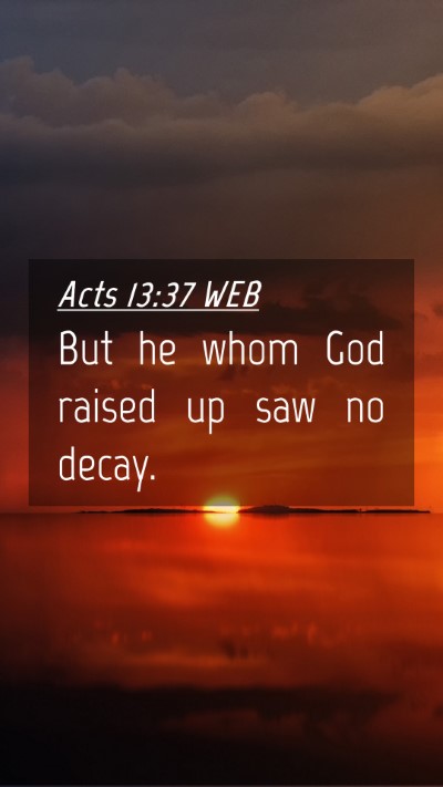Picture 04 - Acts 13:37 WEB Mobile Phone Wallpaper - But he whom God raised up saw no - Mobile Bible Verse Wallpaper
