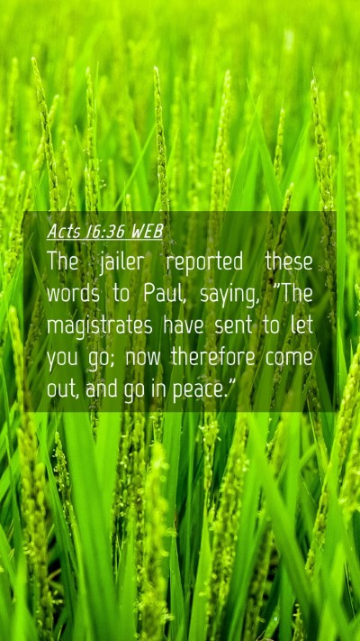 Picture 04 - Acts 16:36 WEB Mobile Phone Wallpaper - The jailer reported these words to Paul, saying, - Mobile Bible Verse Wallpaper