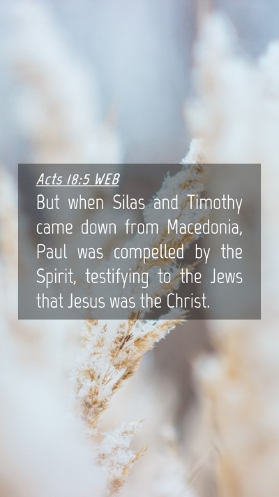 Picture 04 - Acts 18:5 WEB Mobile Phone Wallpaper - But when Silas and Timothy came down from - Mobile Bible Verse Wallpaper
