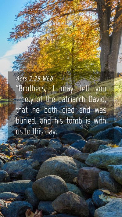 Picture 04 - Acts 2:29 WEB Mobile Phone Wallpaper - 