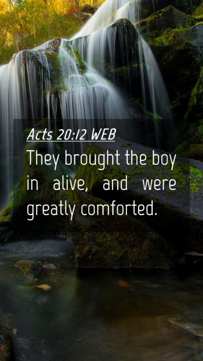 Picture 04 - Acts 20:12 WEB Mobile Phone Wallpaper - They brought the boy in alive, and were greatly - Mobile Bible Verse Wallpaper