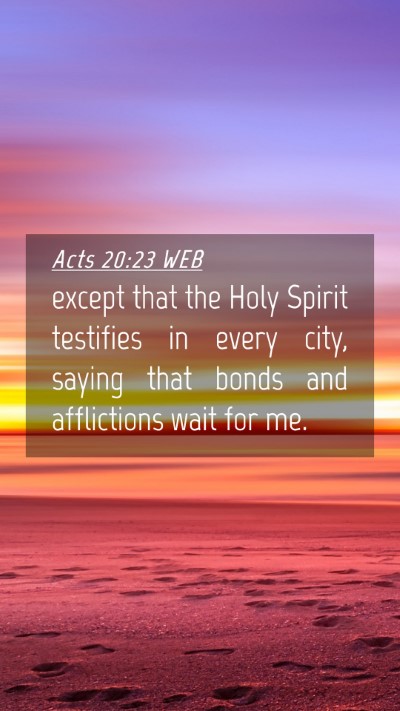 Picture 04 - Acts 20:23 WEB Mobile Phone Wallpaper - except that the Holy Spirit testifies in every - Mobile Bible Verse Wallpaper