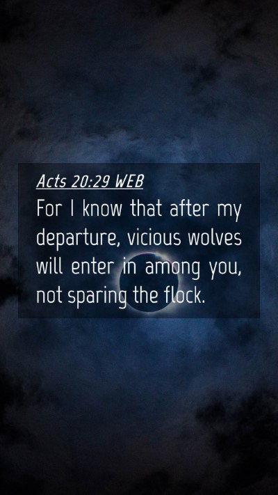 Picture 04 - Acts 20:29 WEB Mobile Phone Wallpaper - For I know that after my departure, vicious - Mobile Bible Verse Wallpaper