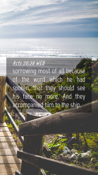Picture 04 - Acts 20:38 WEB Mobile Phone Wallpaper - sorrowing most of all because of the word which - Mobile Bible Verse Wallpaper