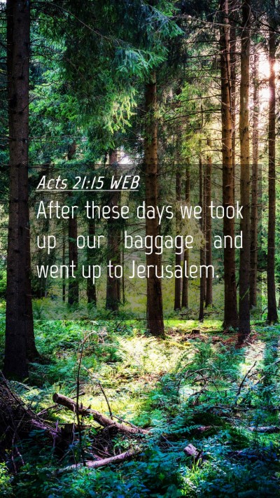 Picture 04 - Acts 21:15 WEB Mobile Phone Wallpaper - After these days we took up our baggage and went - Mobile Bible Verse Wallpaper
