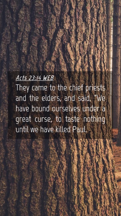 Picture 04 - Acts 23:14 WEB Mobile Phone Wallpaper - They came to the chief priests and the elders, - Mobile Bible Verse Wallpaper
