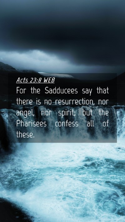 Picture 04 - Acts 23:8 WEB Mobile Phone Wallpaper - For the Sadducees say that there is no - Mobile Bible Verse Wallpaper