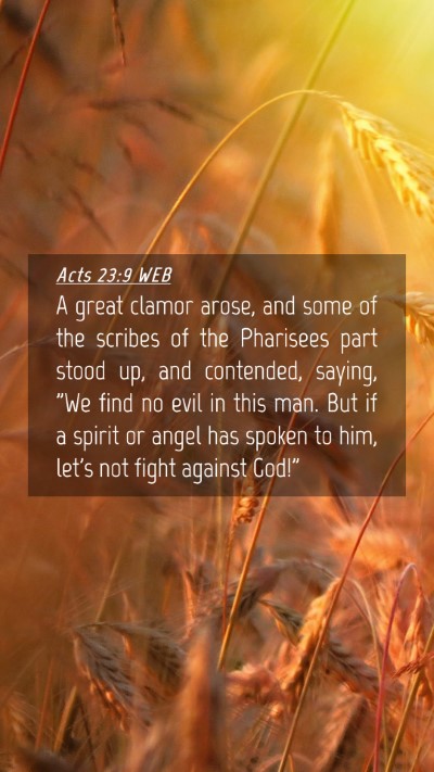 Picture 04 - Acts 23:9 WEB Mobile Phone Wallpaper - A great clamor arose, and some of the scribes of - Mobile Bible Verse Wallpaper